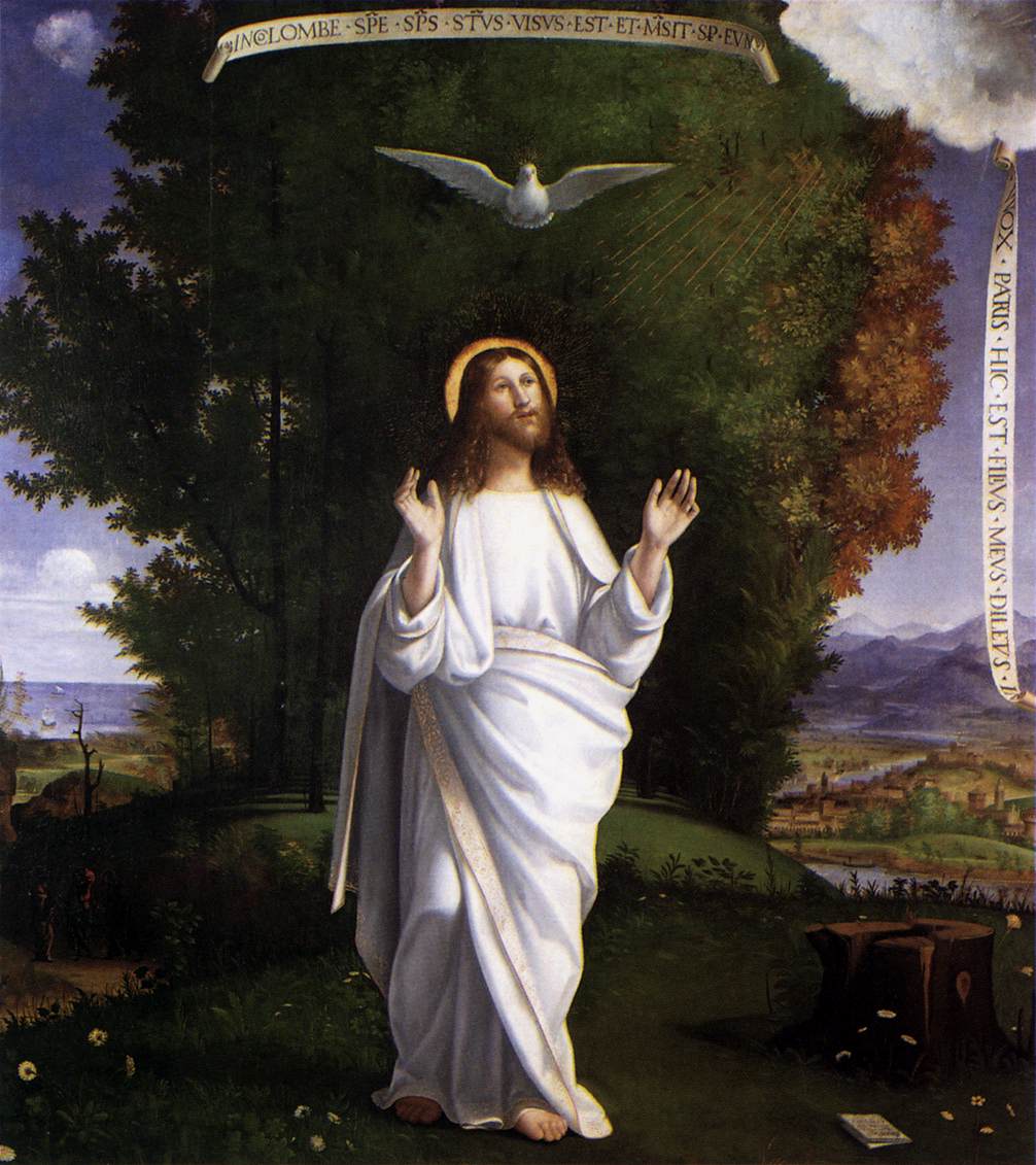 Andrea Previtali (1480-1528), Przemienienie